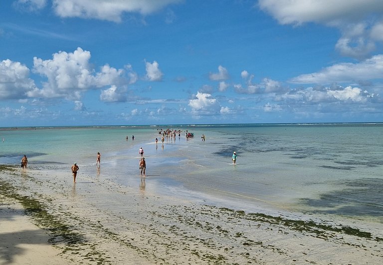 Apartamento 2 quartos com Vista Mar na Pajuçara